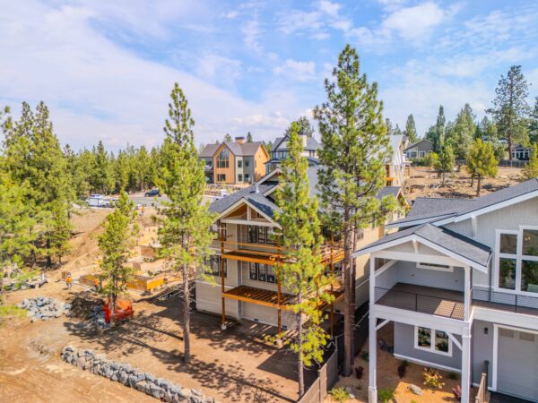 Lot 39 - Talline - Image 15